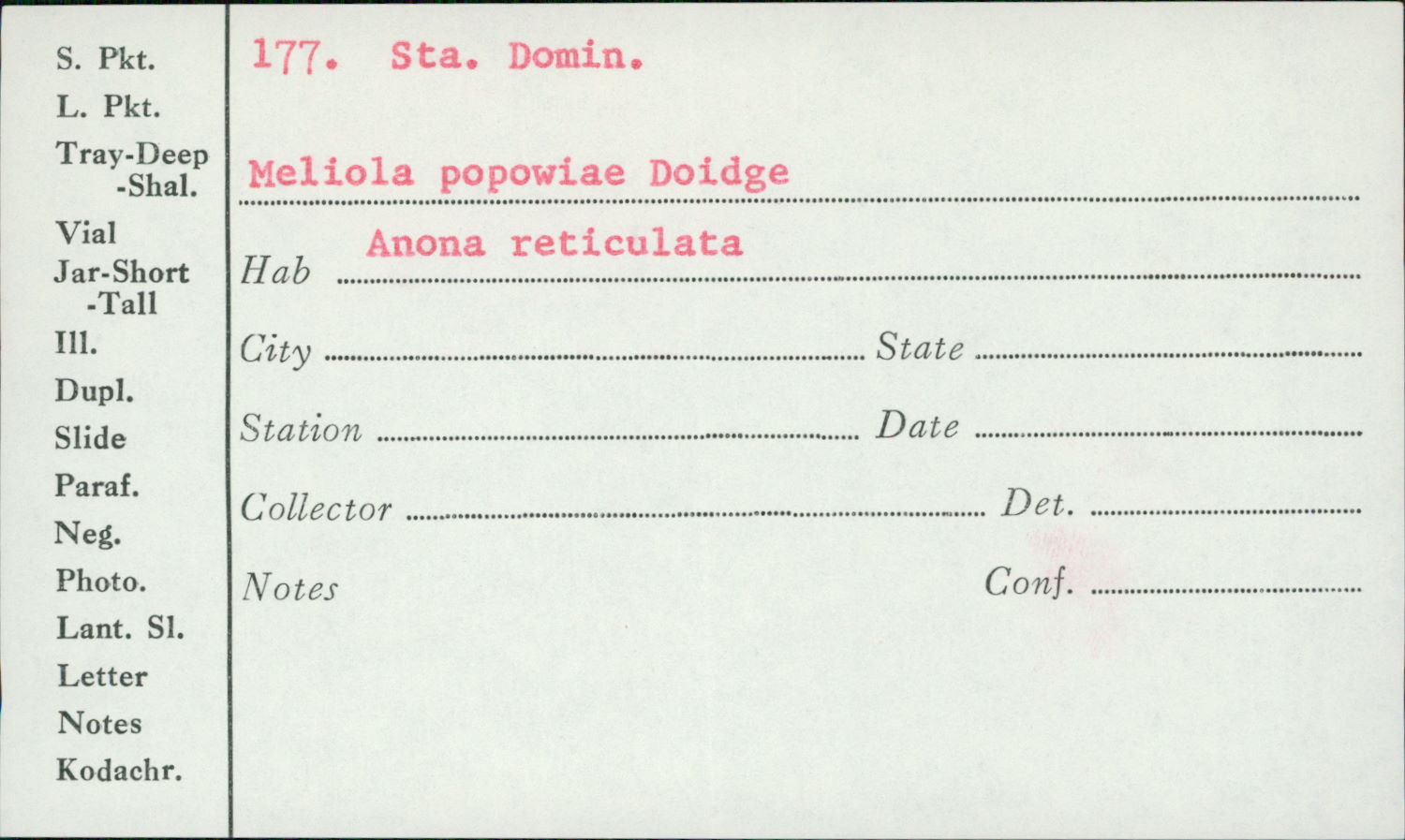 Meliola popowiae image