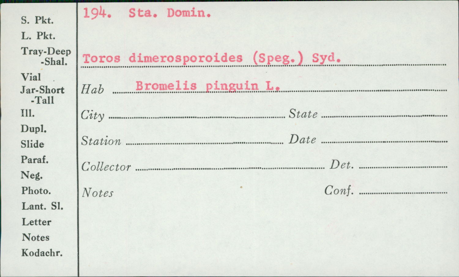 Toroa dimerosporoides image