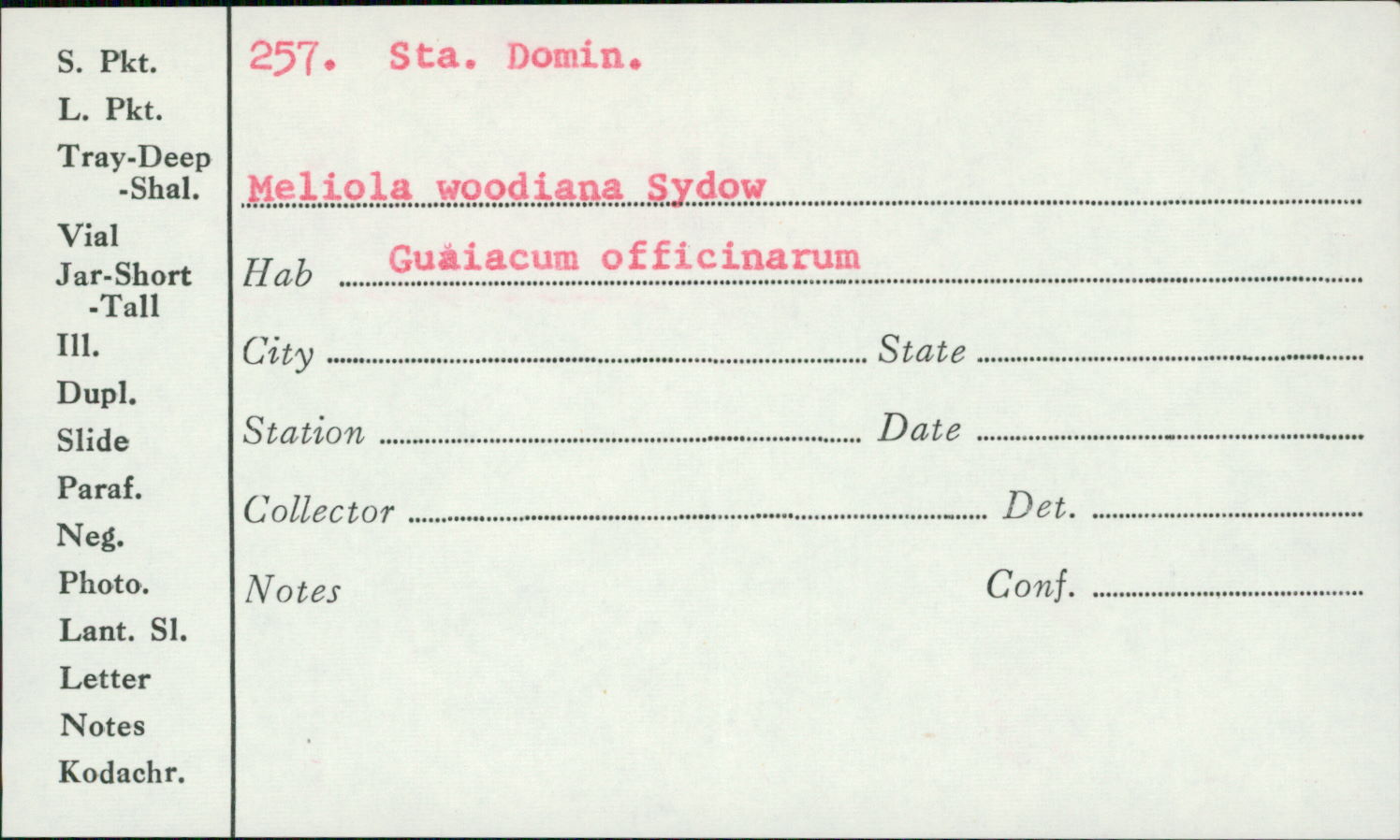 Meliola woodiana image