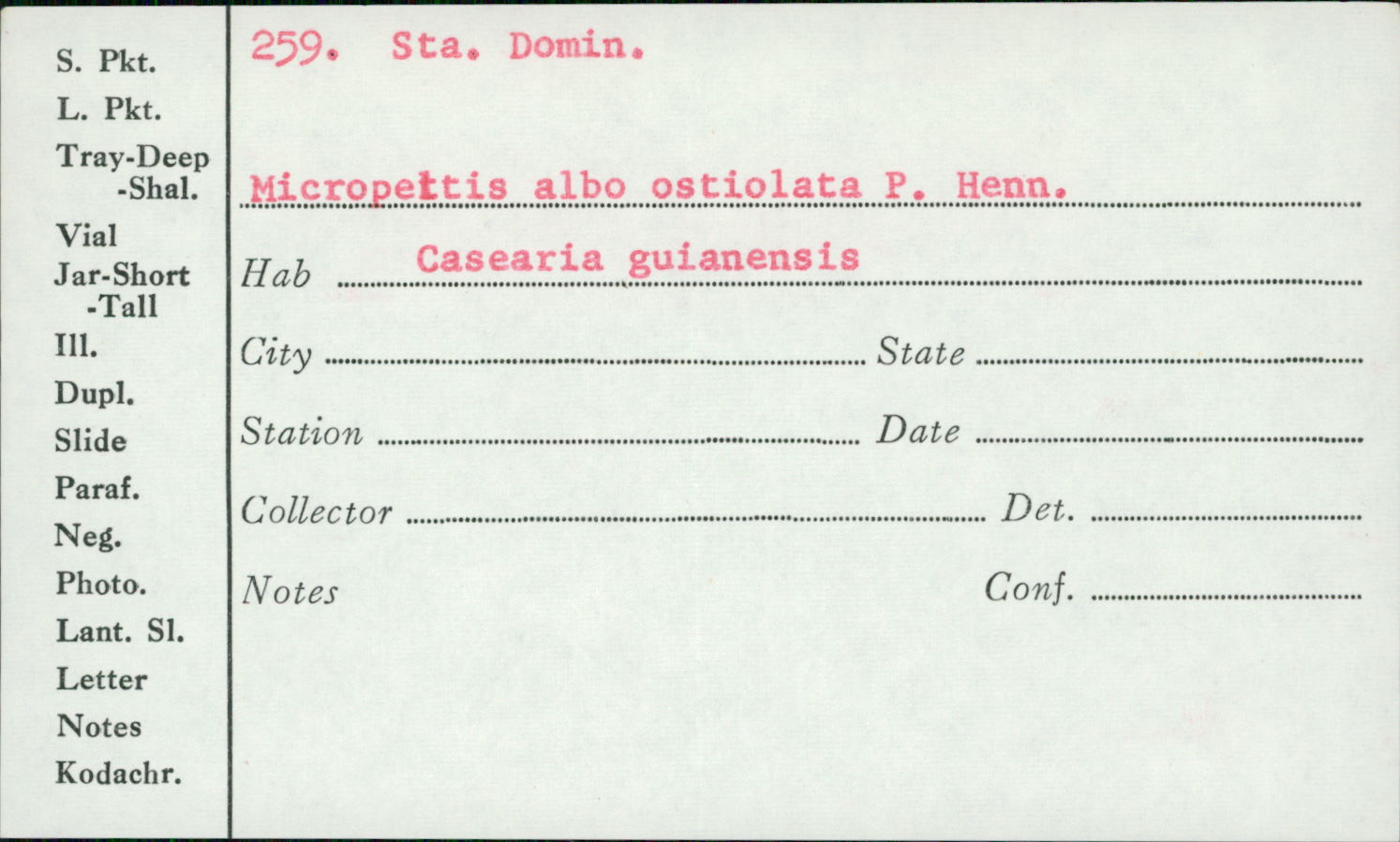 Micropeltis albo-ostiolata image