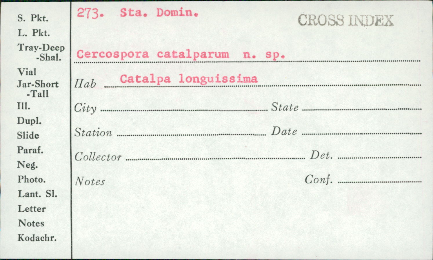 Passalora catalparum image