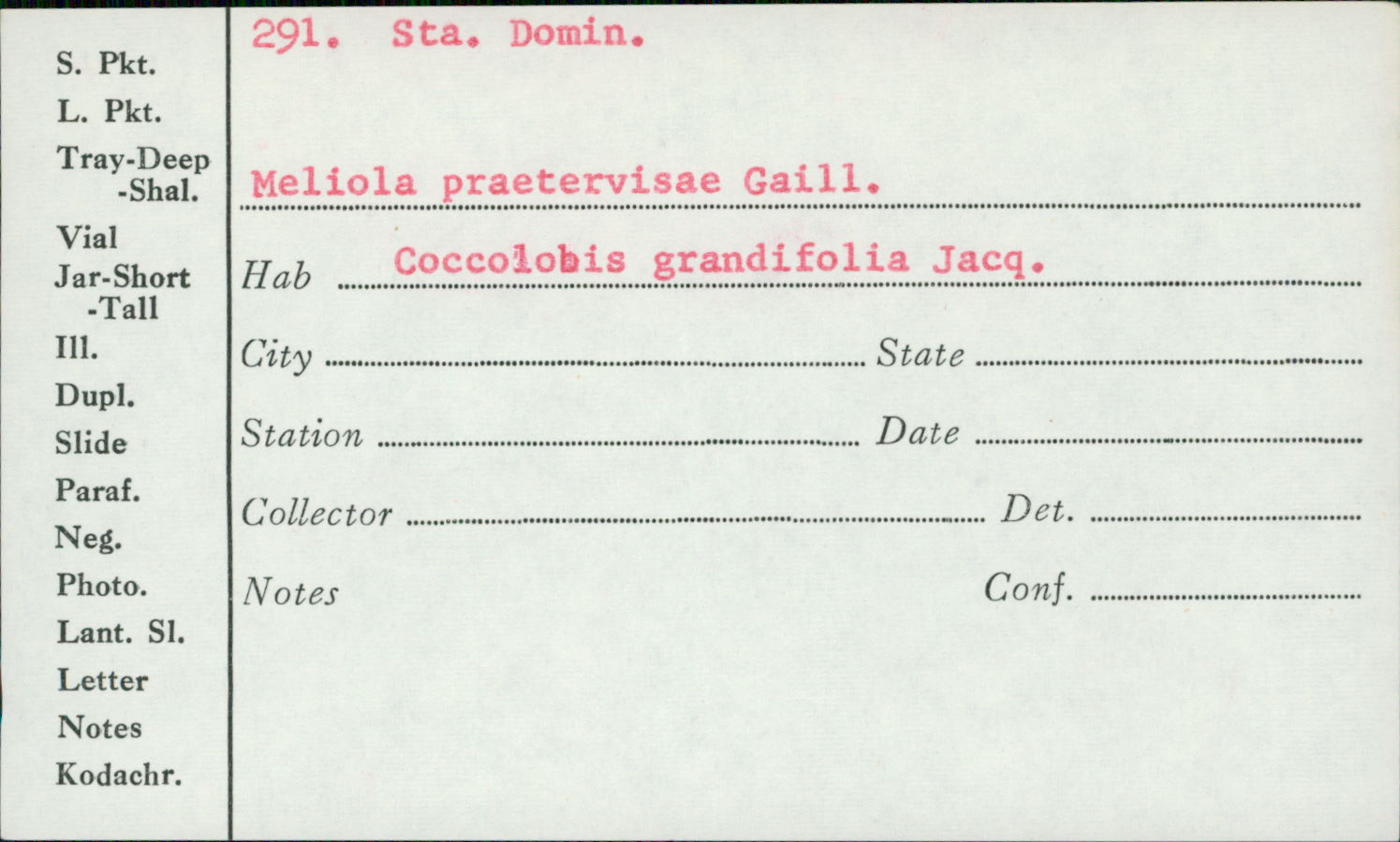 Meliola praetervisa image