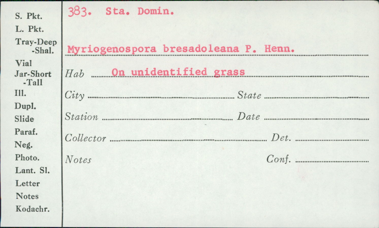 Myriogenospora bresadolana image