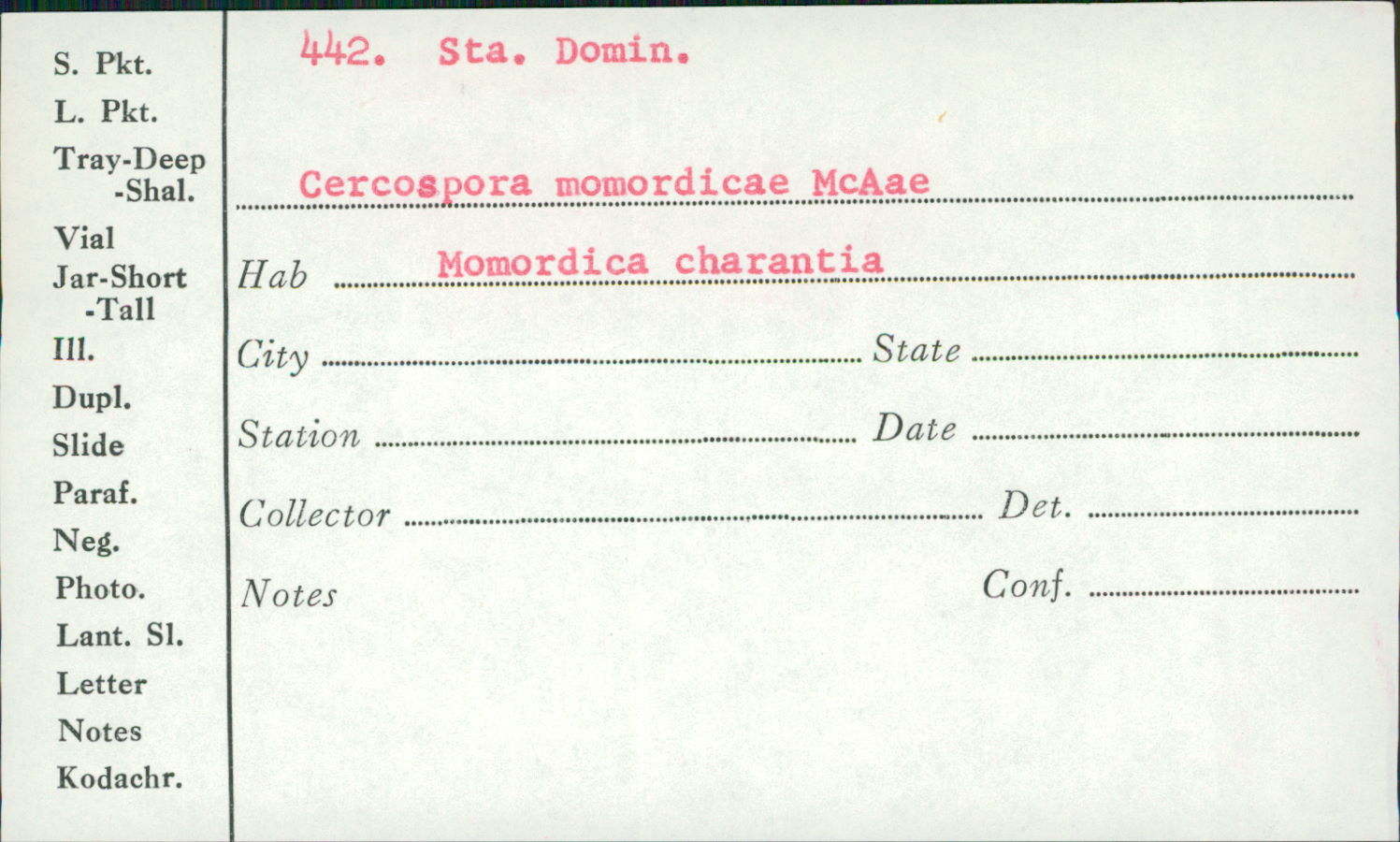 Cercospora momordicae image