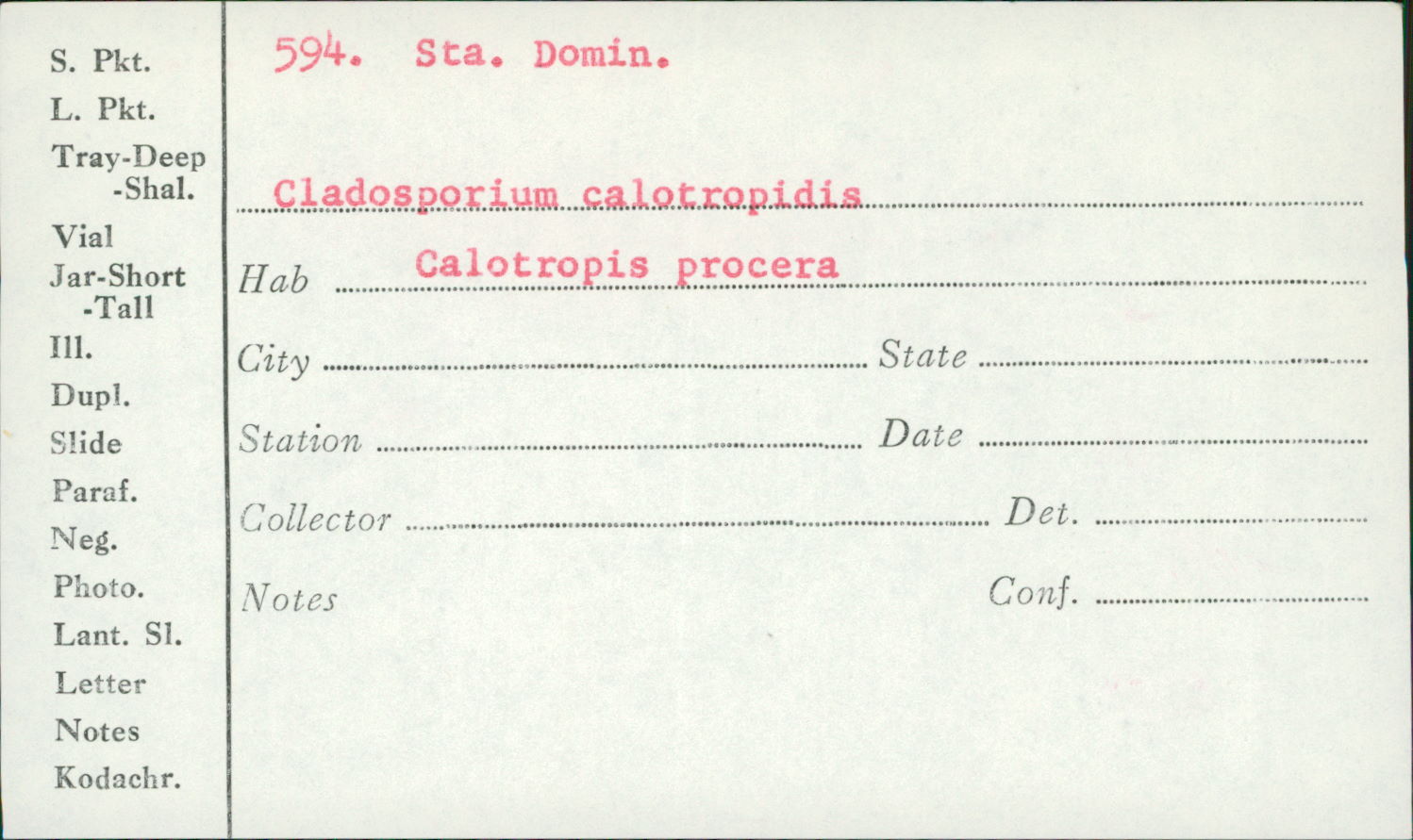 Cladosporium calotropidis image