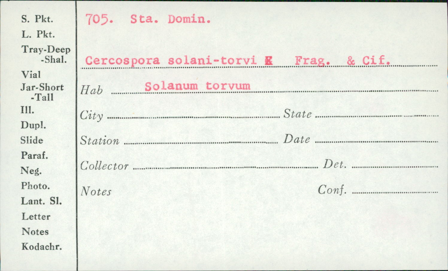 Cercospora solani-torvi image