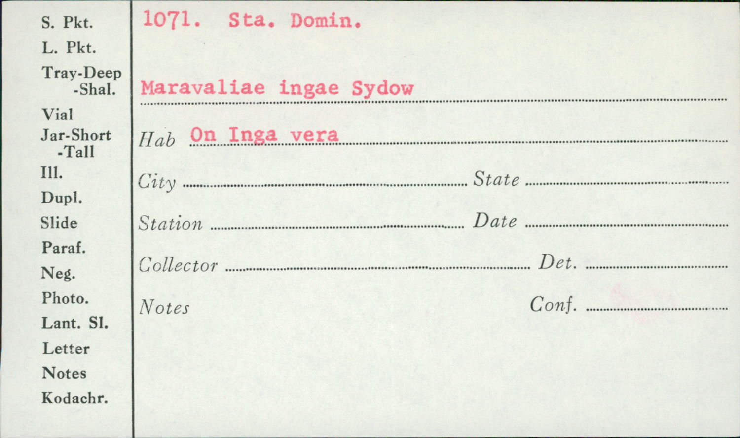 Chaconia ingae image