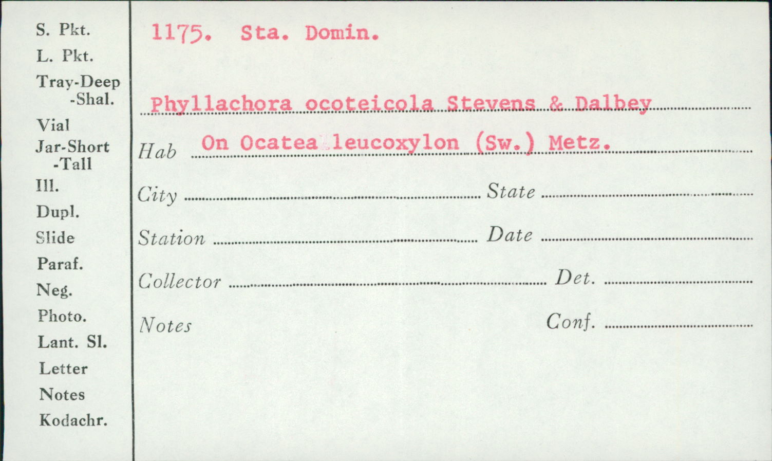 Phyllachora ocoteicola image