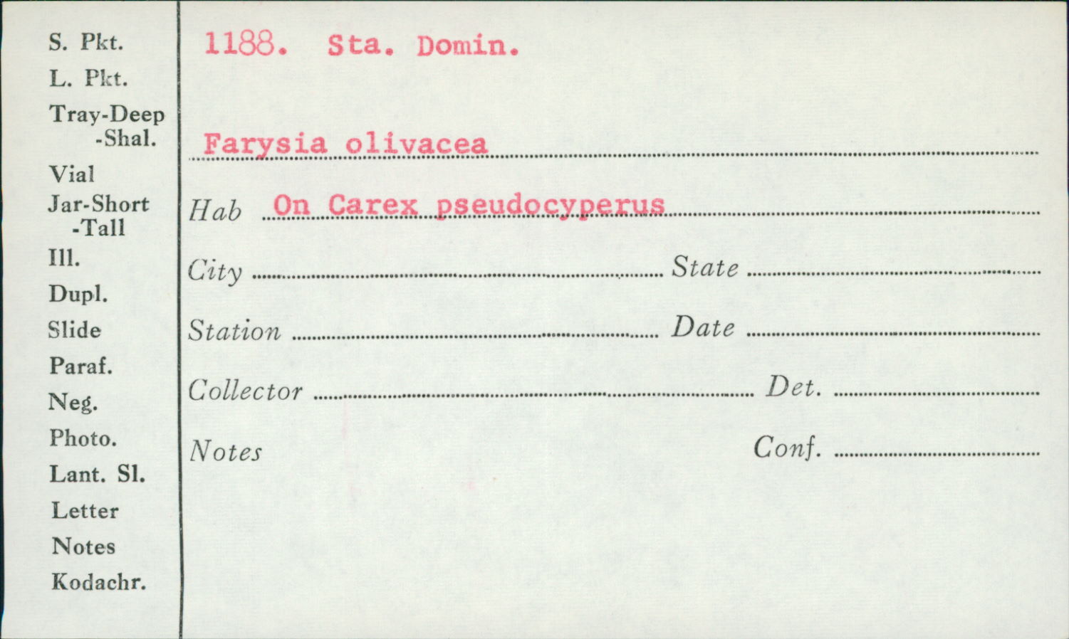 Nymanomyces image