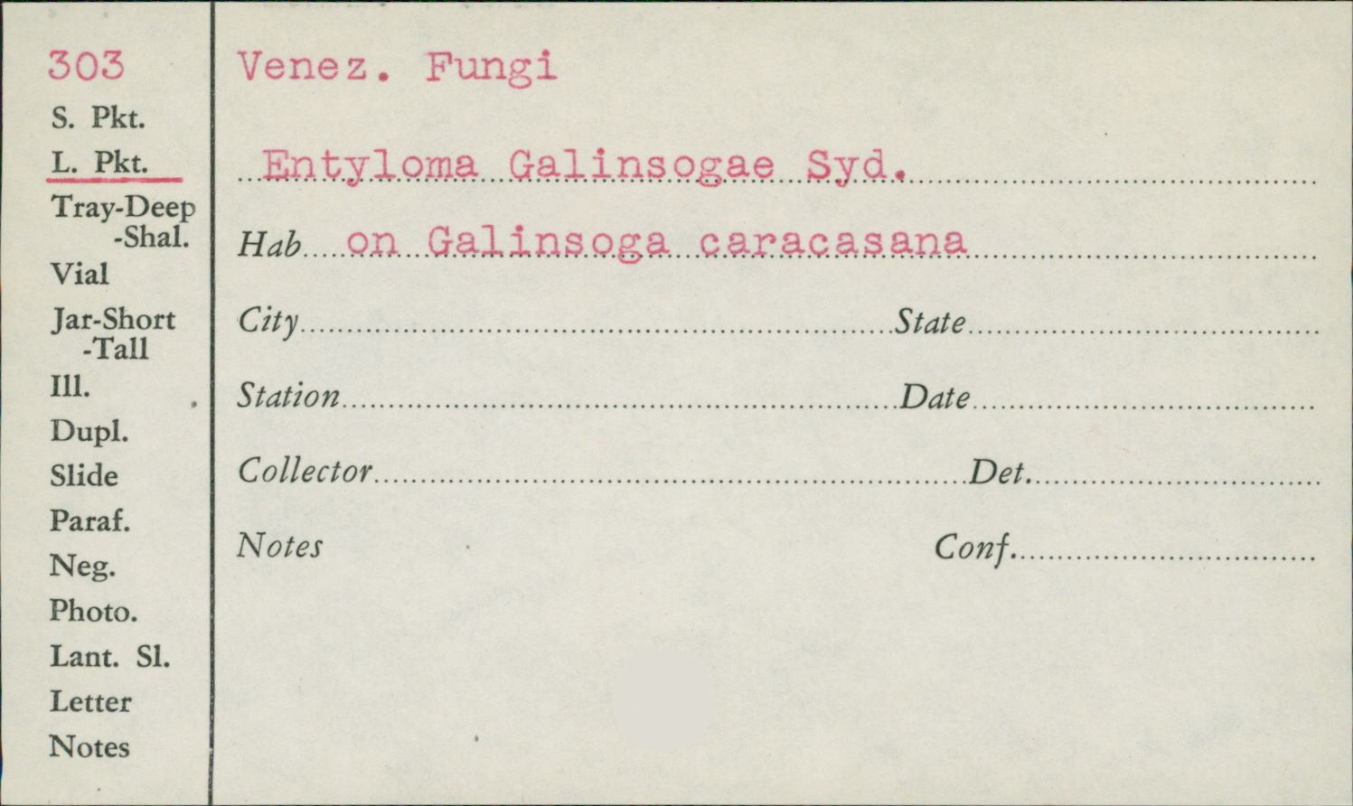 Entyloma galinsogae image