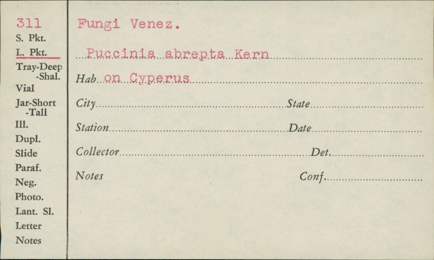Puccinia abrepta image