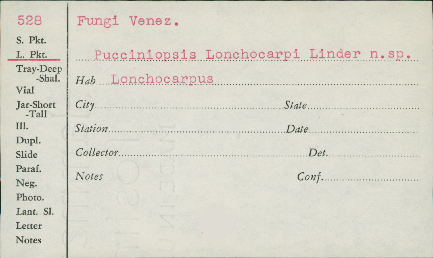 Pucciniopsis lonchocarpi image