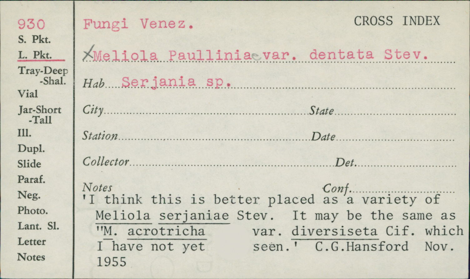 Meliola paulliniae var. dentata image