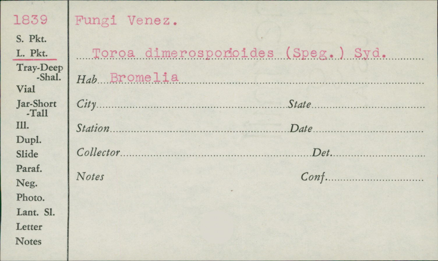 Toroa dimerosporioides image