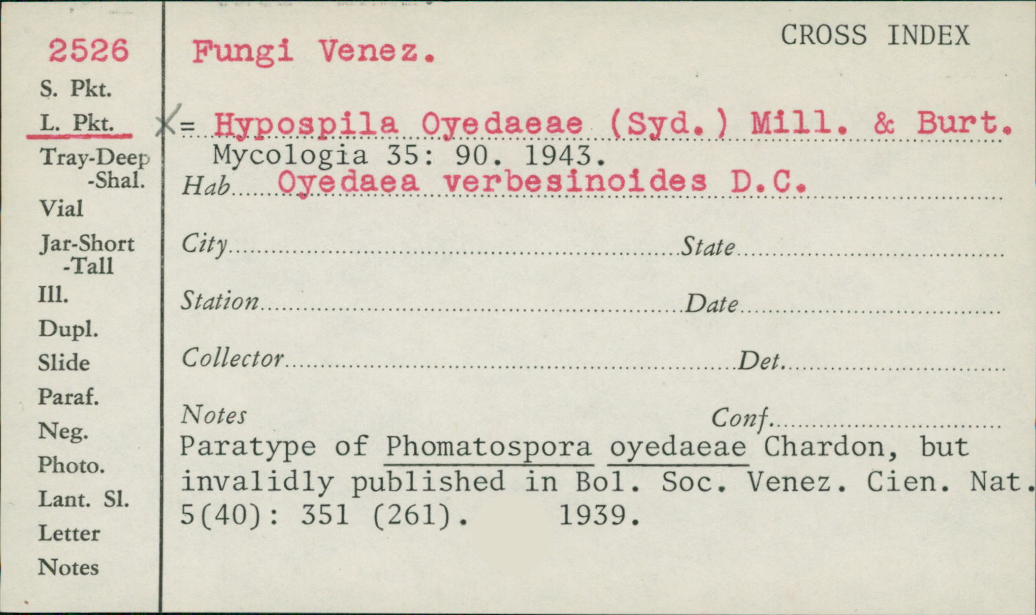 Phomatospora oyedaeae image