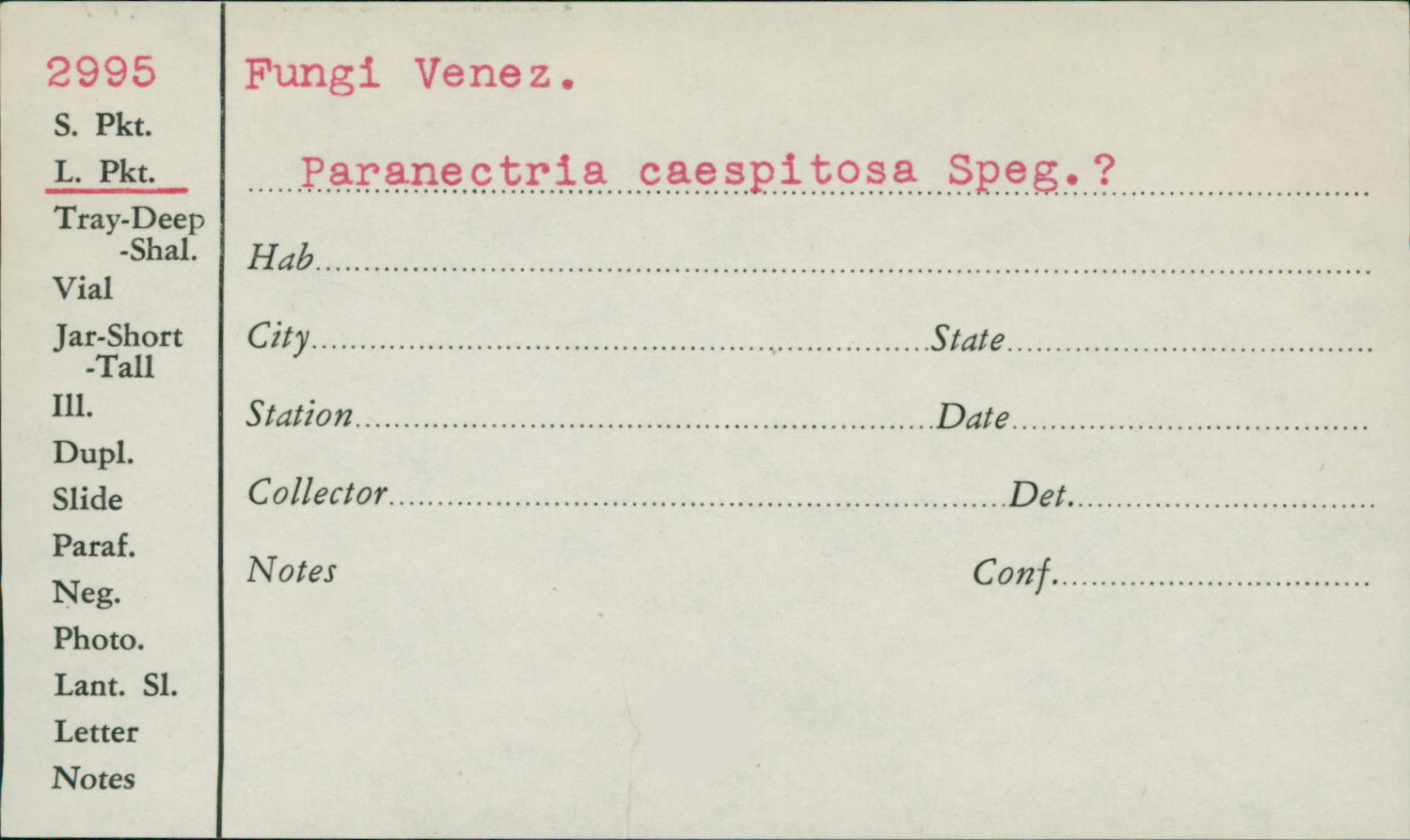 Paranectria caespitosa image