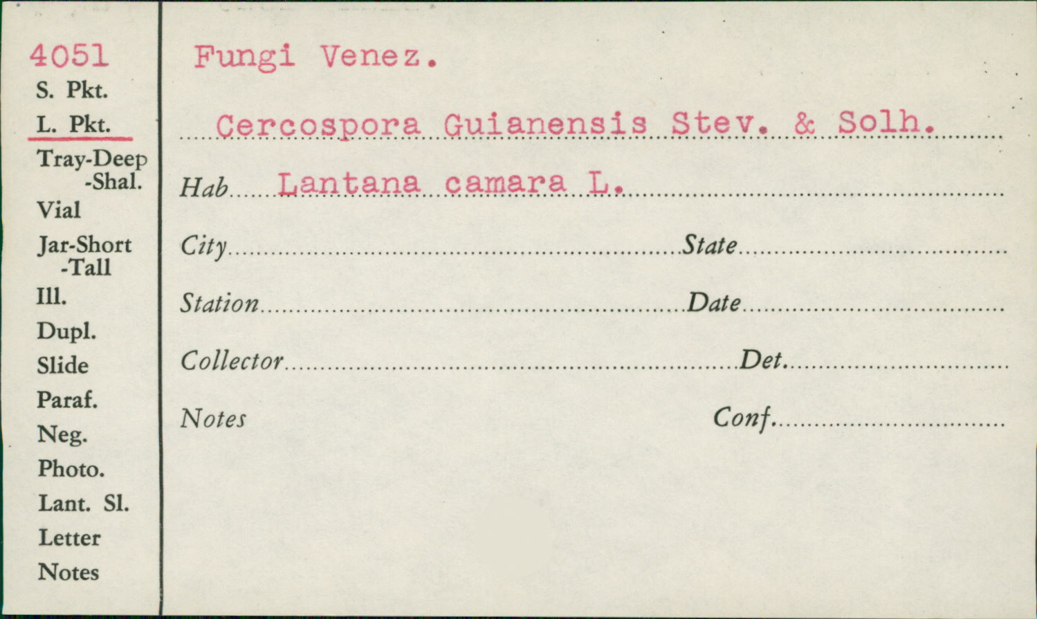 Cercospora guianensis image