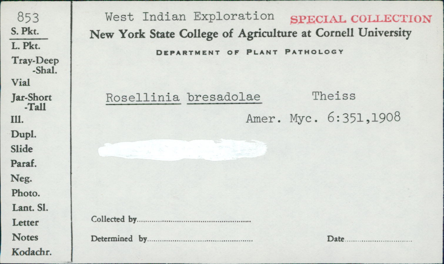 Rosellinia bresadolae image