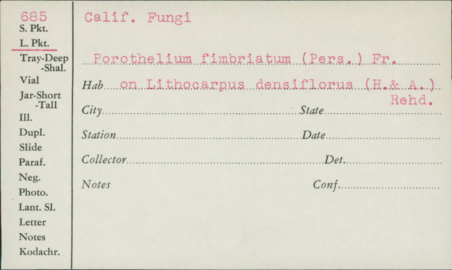 Porotheleum image