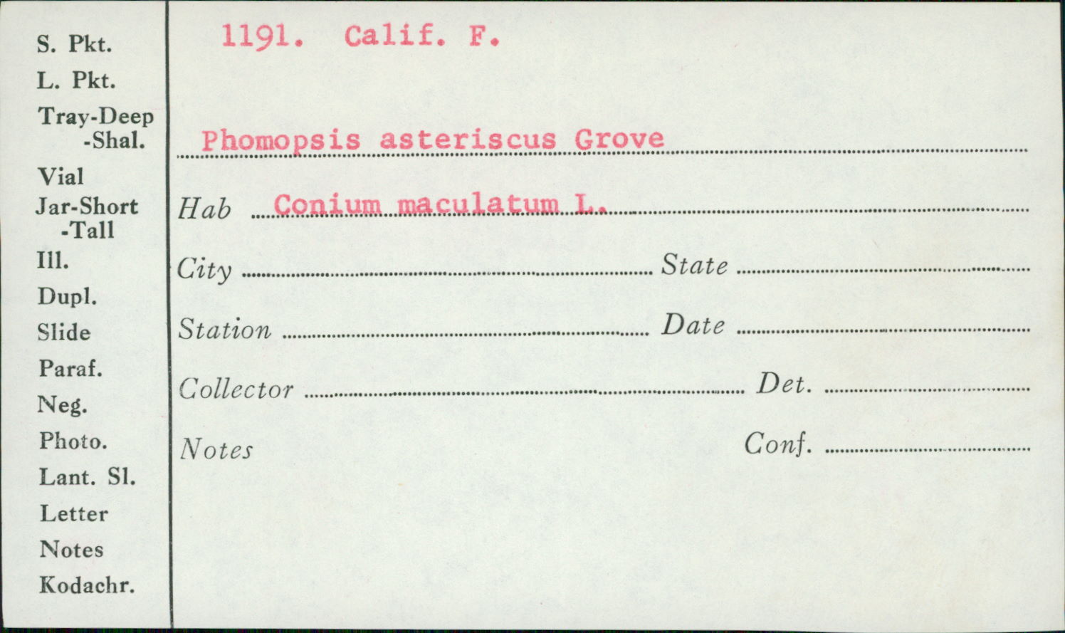 Phomopsis asteriscus image