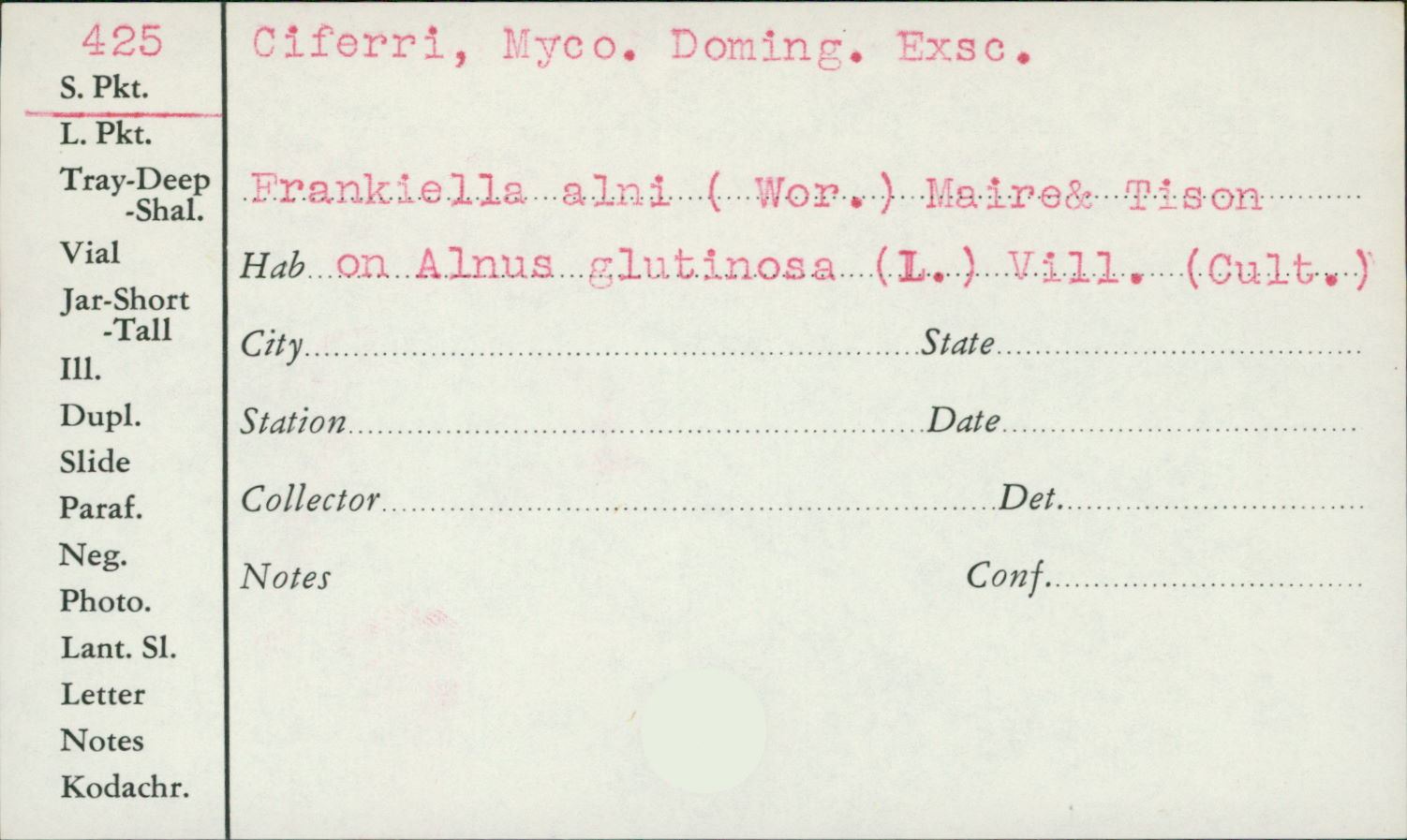 Frankiella alni image