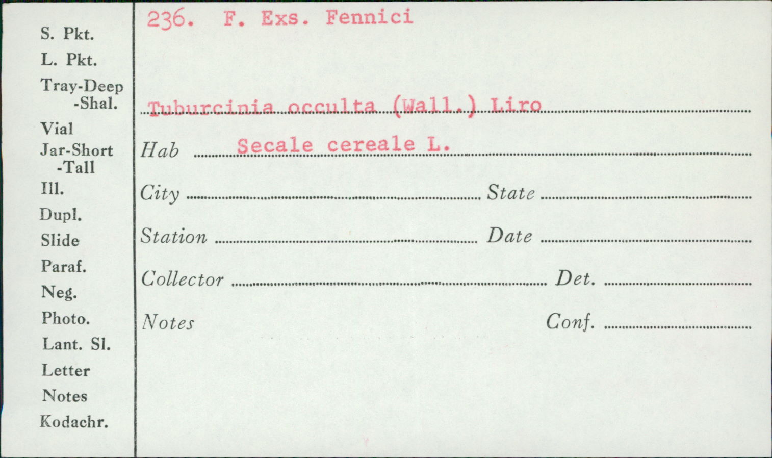 Urocystis occulta image