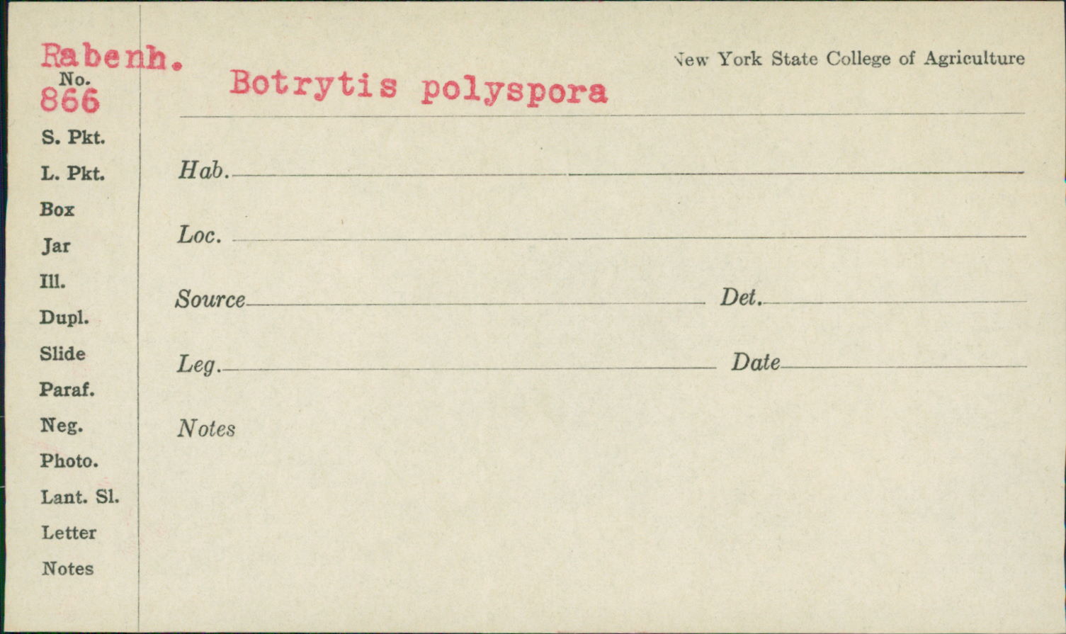 Botrytis polyspora image