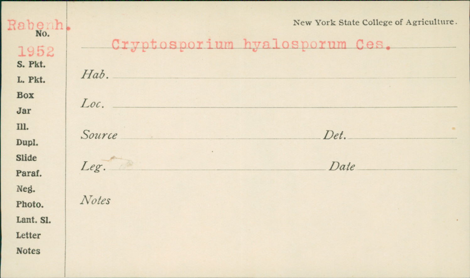 Cryptosporium hyalosporum image