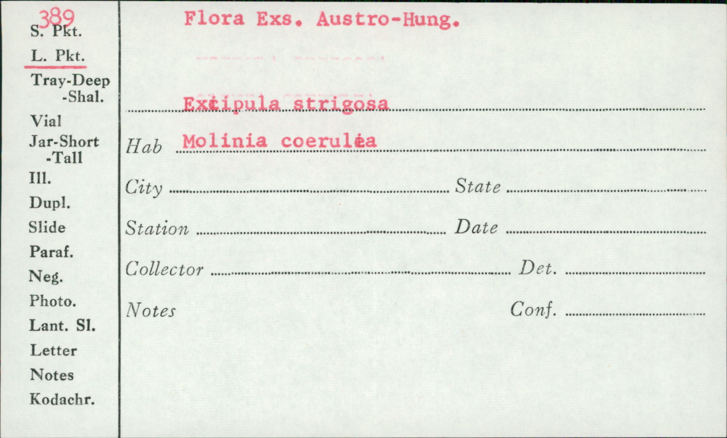 Excipula strigosa image