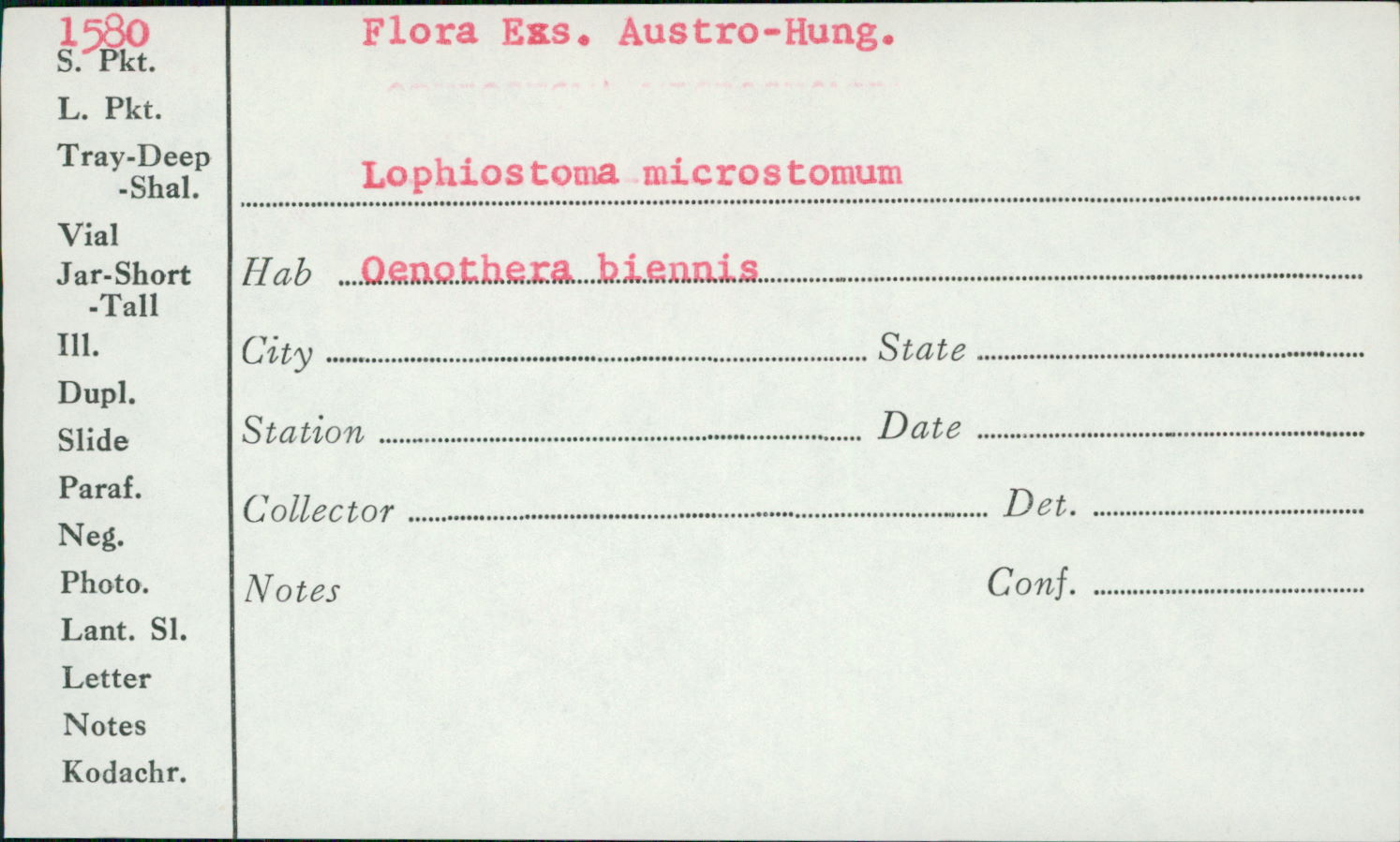 Lophiostoma microstomum image