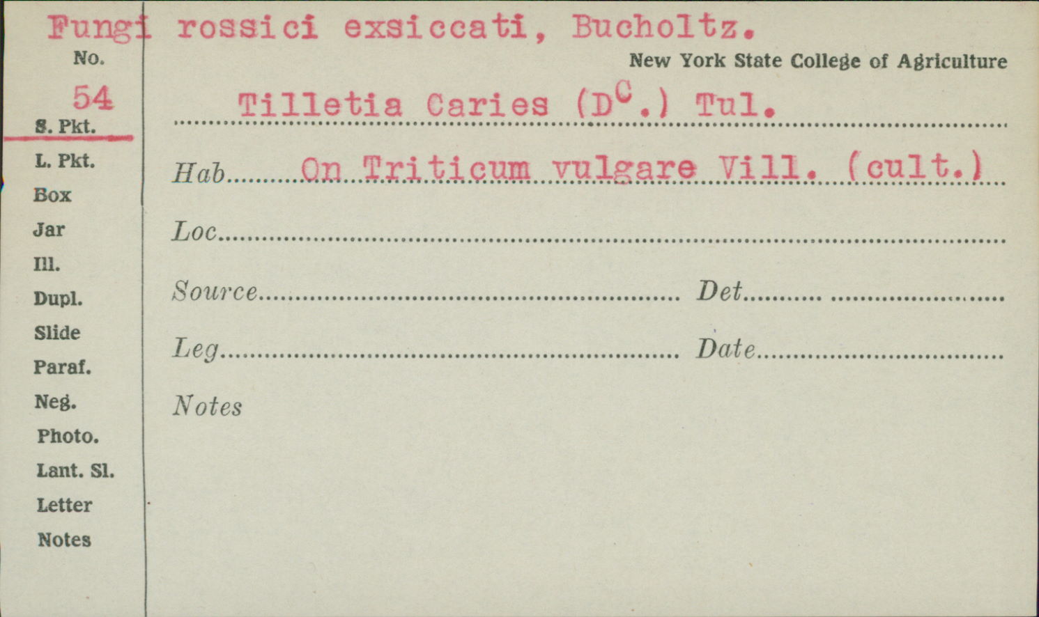 Tilletia image