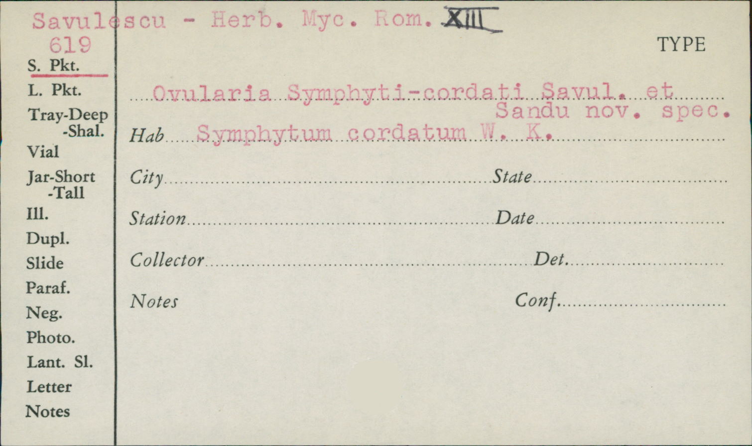 Ovularia symphyti-cordati image