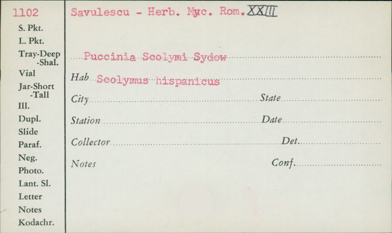 Puccinia scolymi image