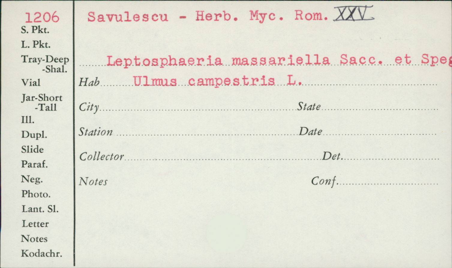 Leptosphaeria massariella image