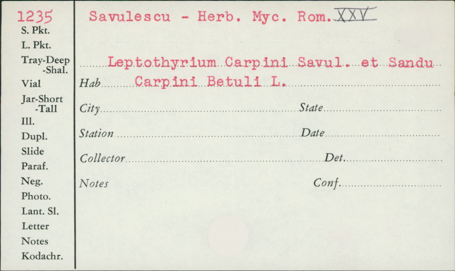 Leptothyrium carpini image