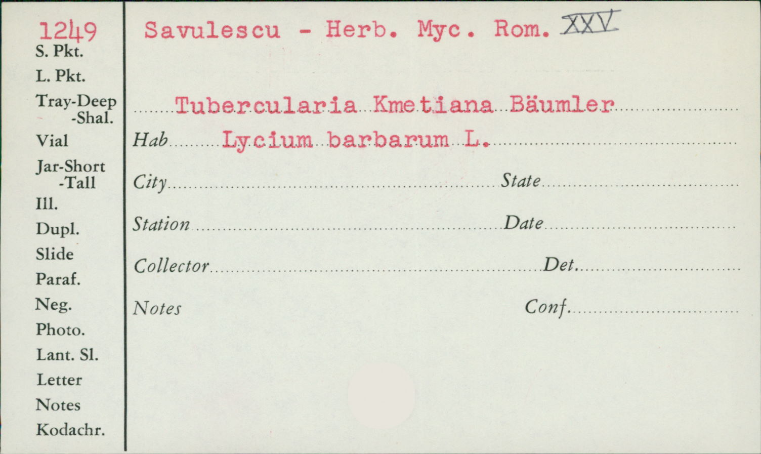Tubercularia kmetiana image