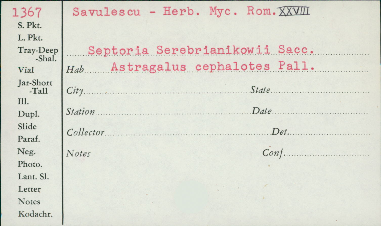 Septoria serebrianikowii image