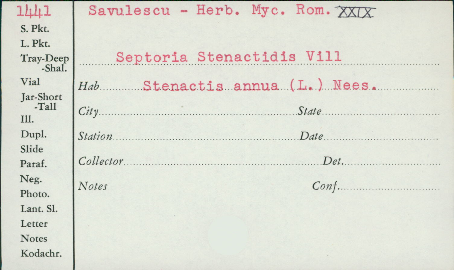 Septoria stenactidis image