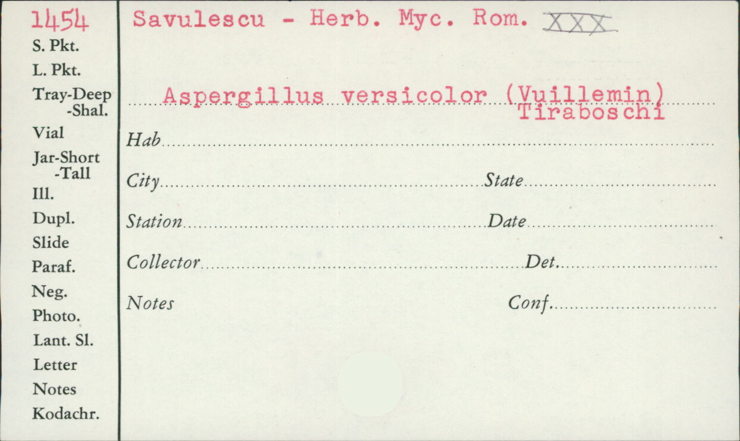 Aspergillus versicolor image