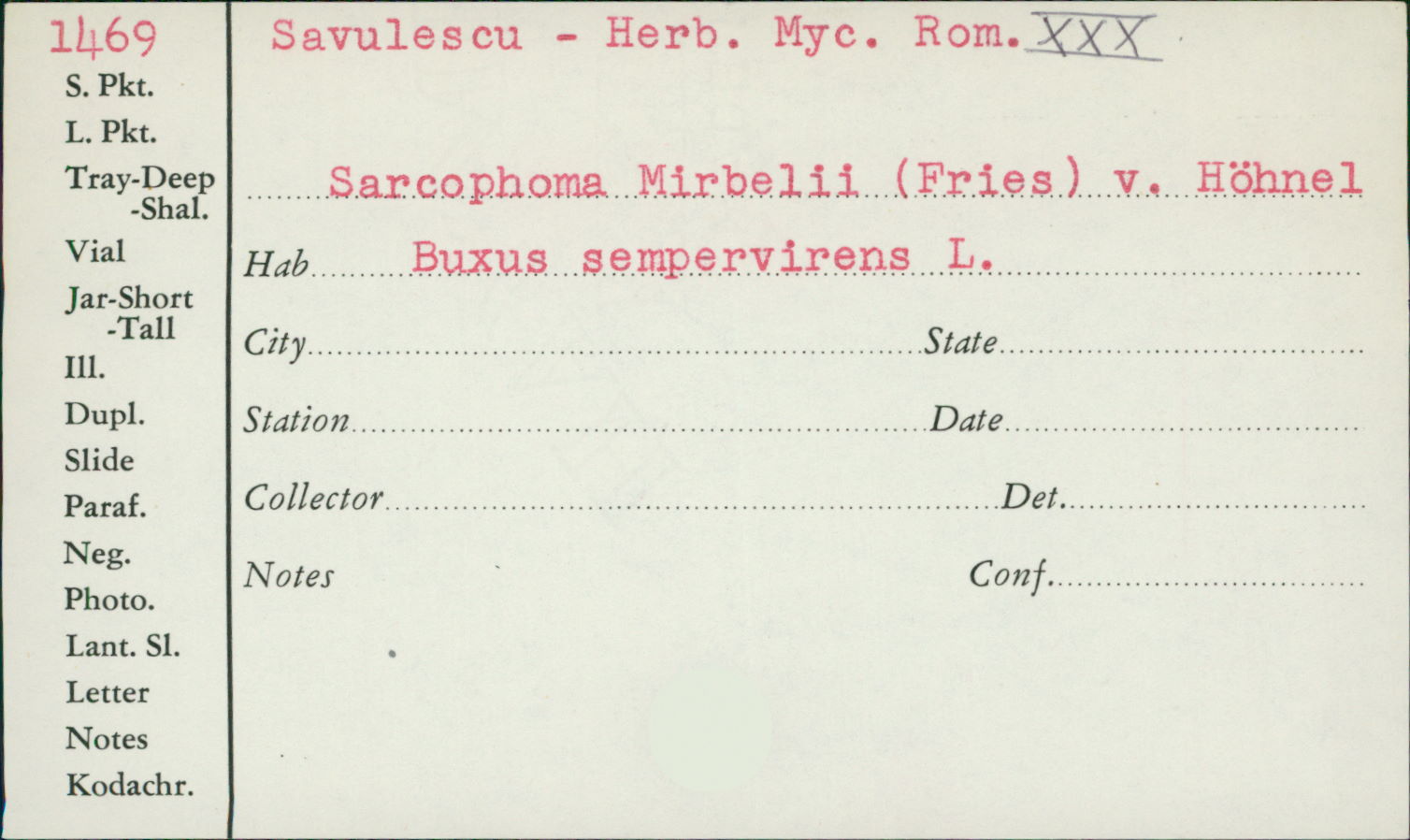 Sarcophoma image