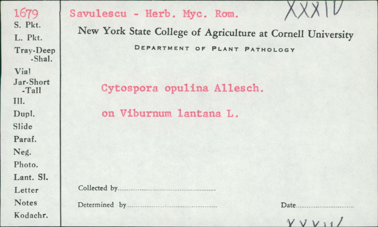 Cytospora opulina image