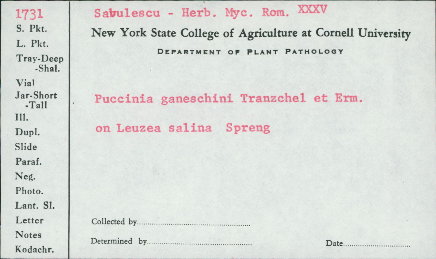 Puccinia ganeschini image