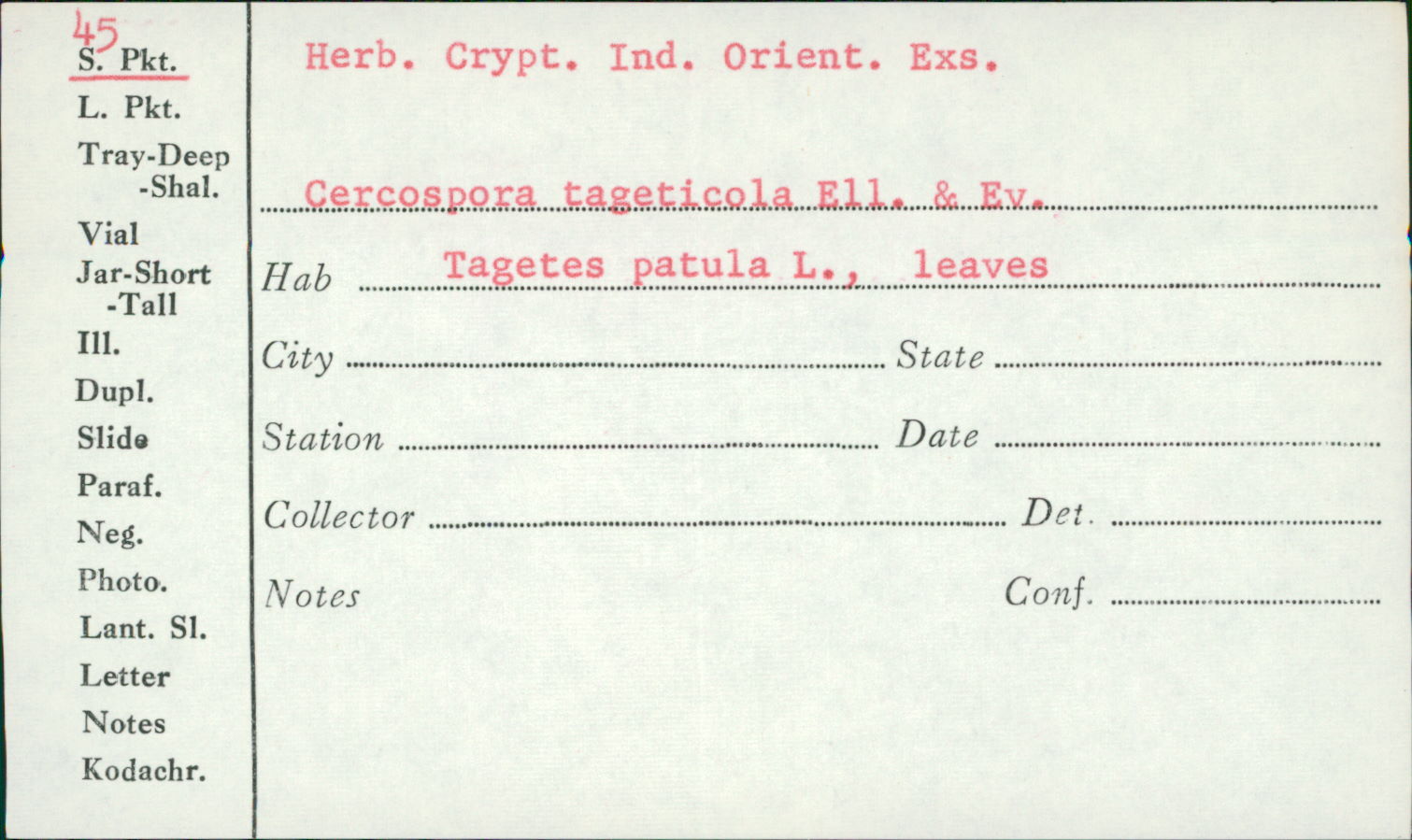 Cercospora tageticola image