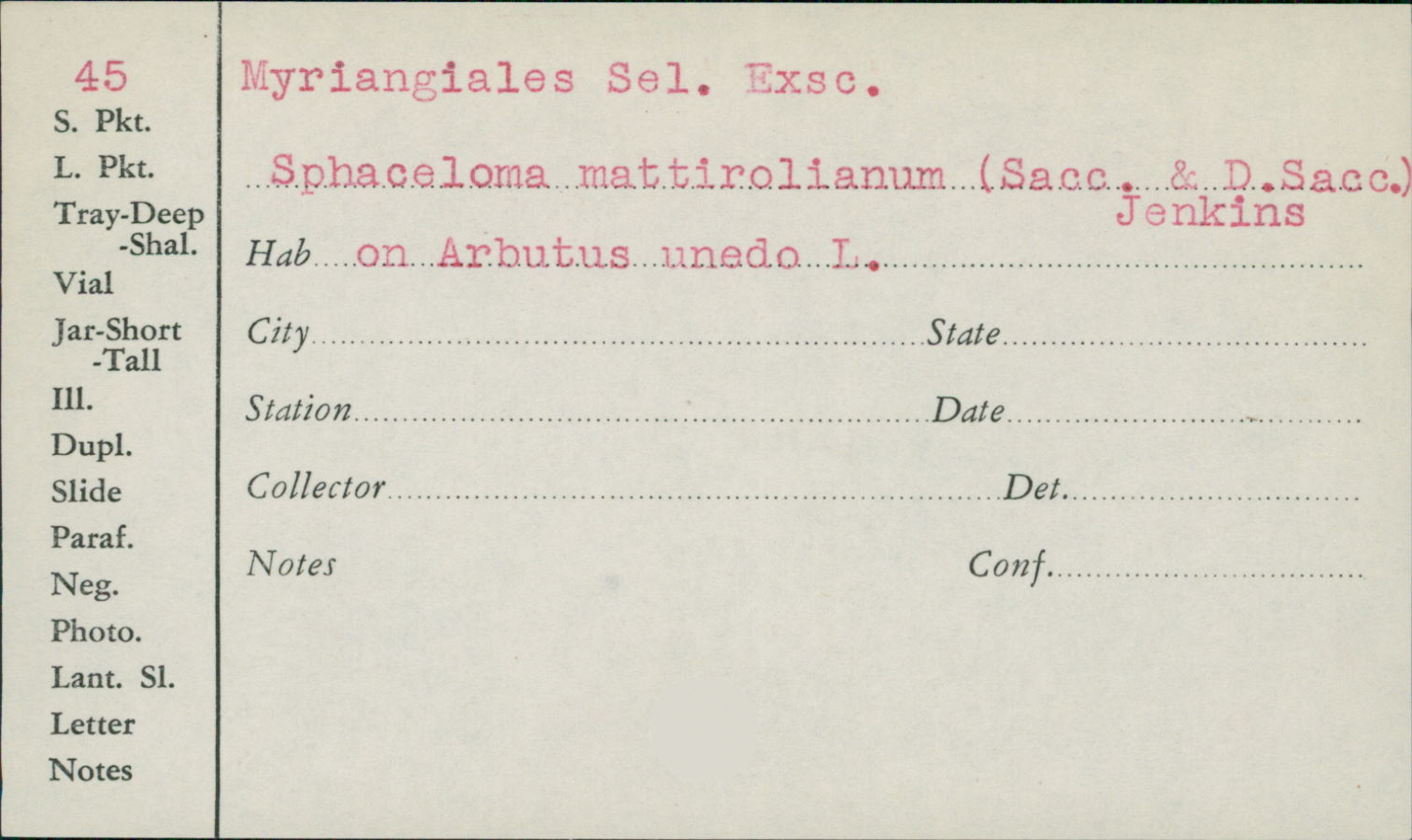 Sphaceloma mattirolianum image