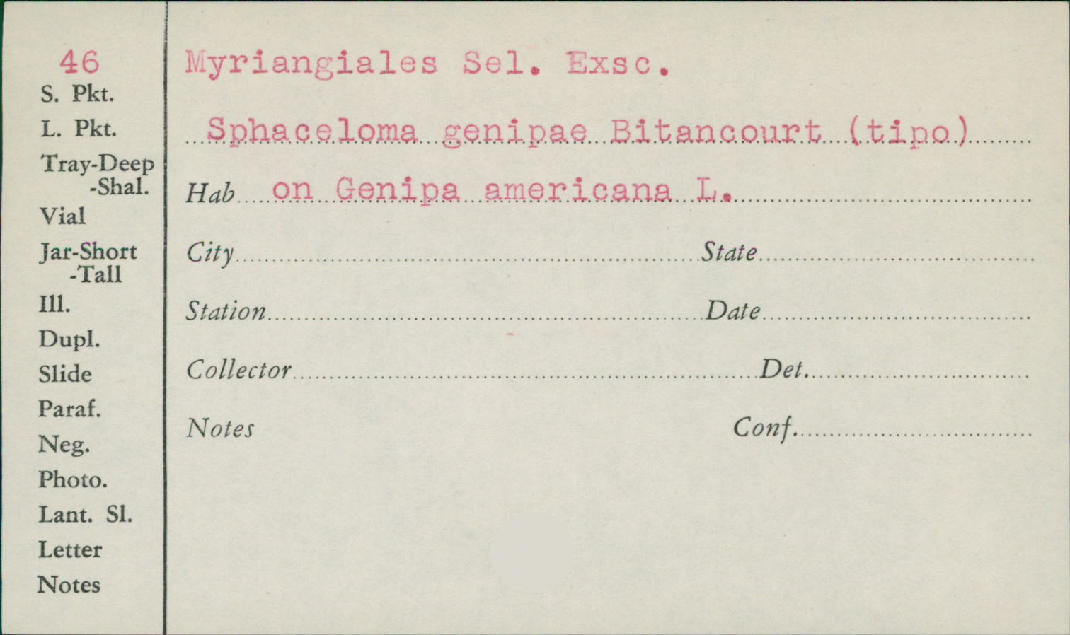 Sphaceloma genipae image