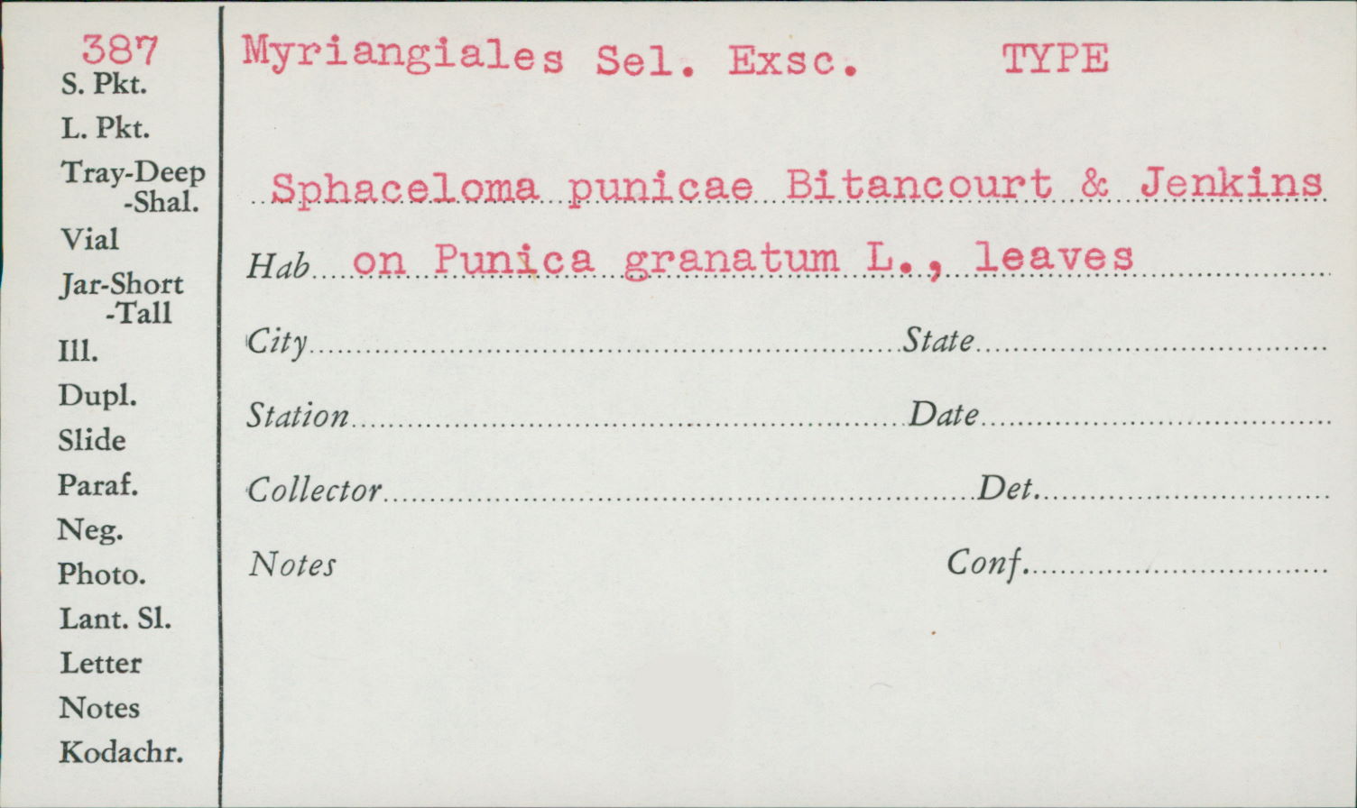 Sphaceloma punicae image