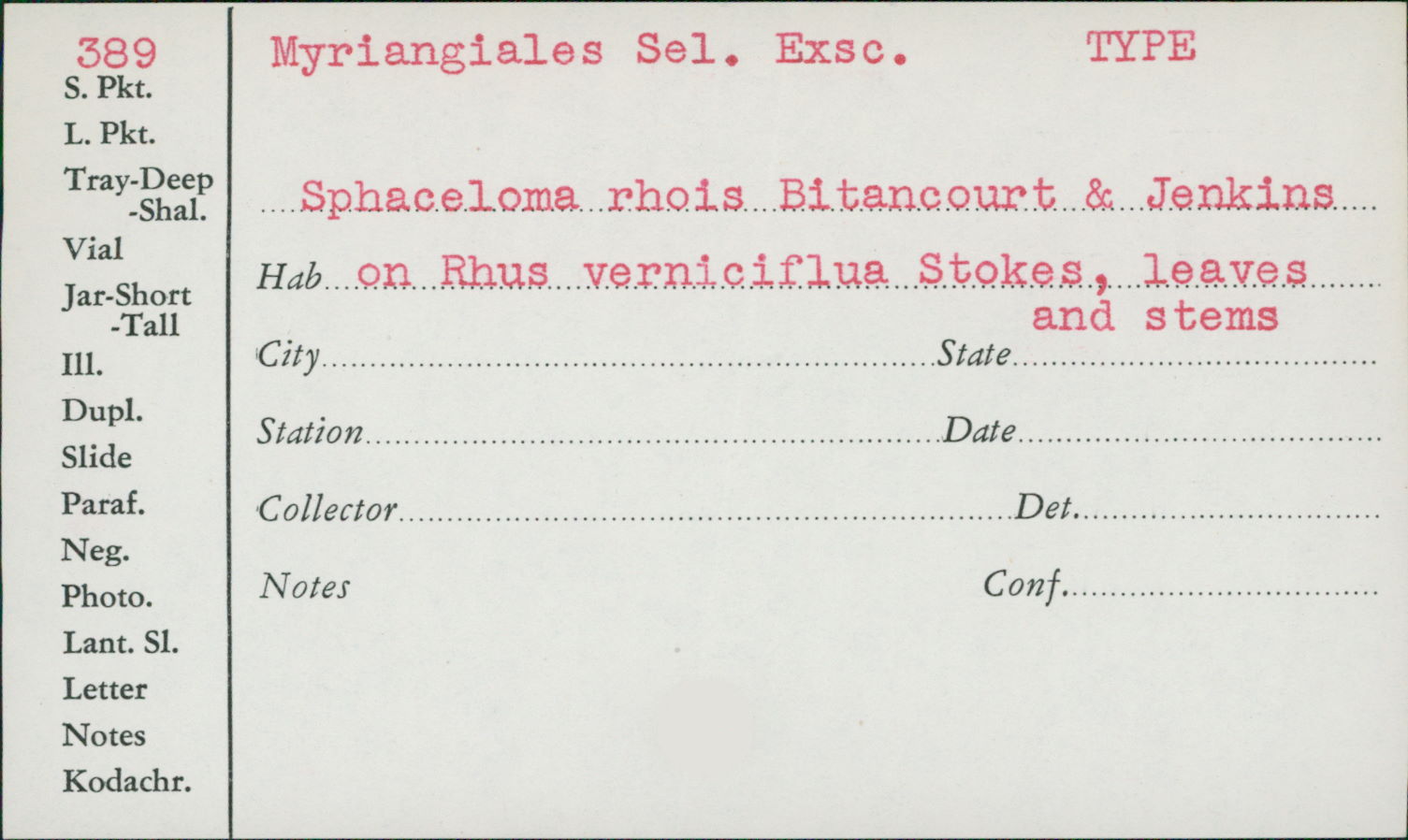 Sphaceloma rhois image