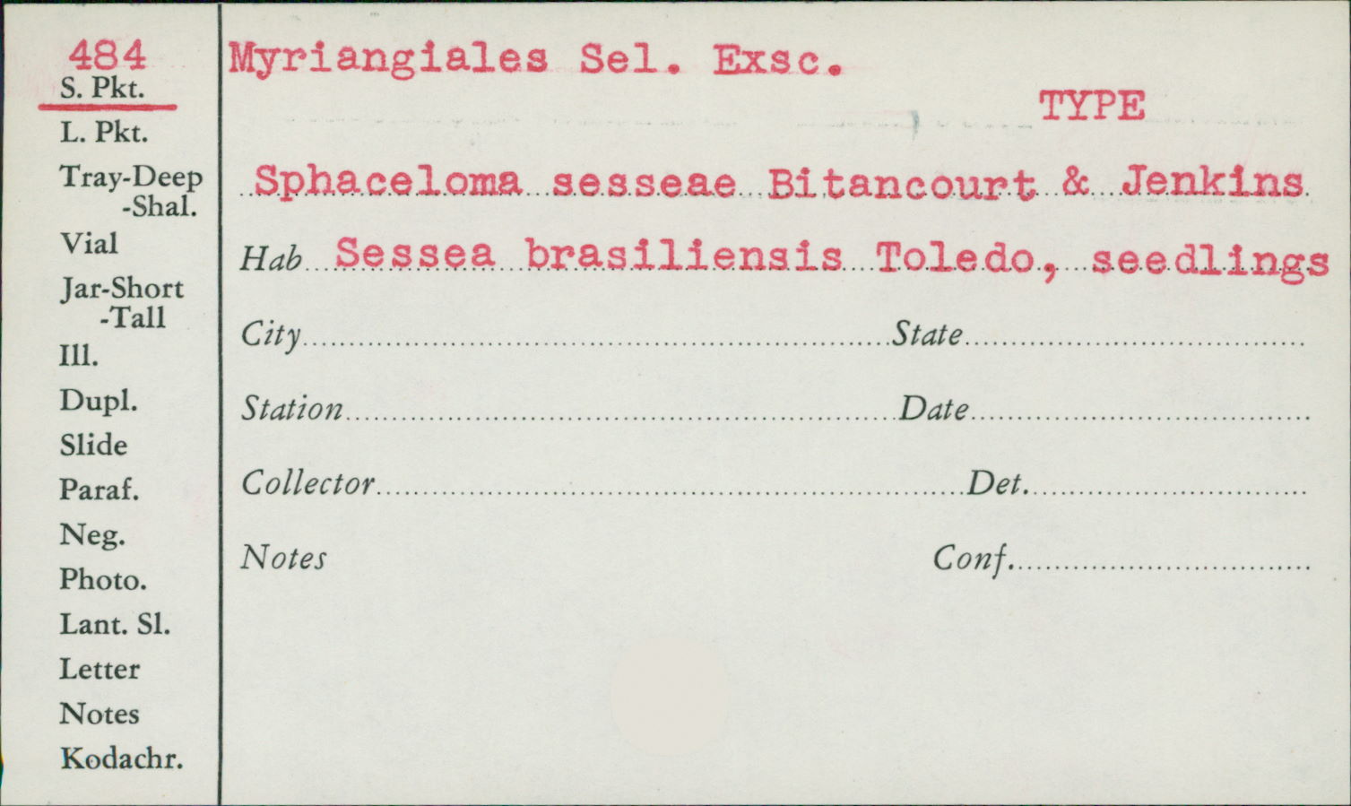 Sphaceloma sesseae image