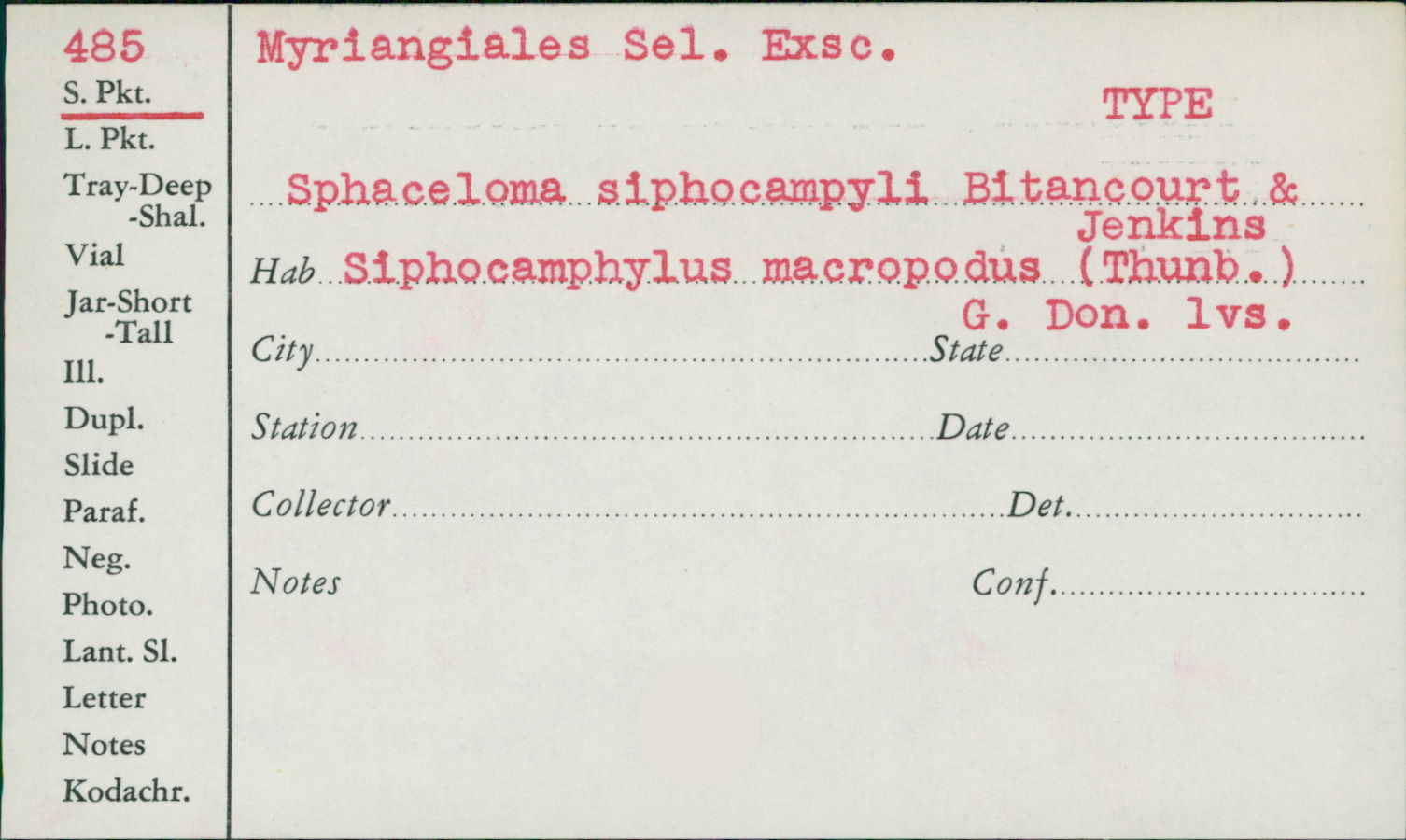 Sphaceloma siphocampyli image