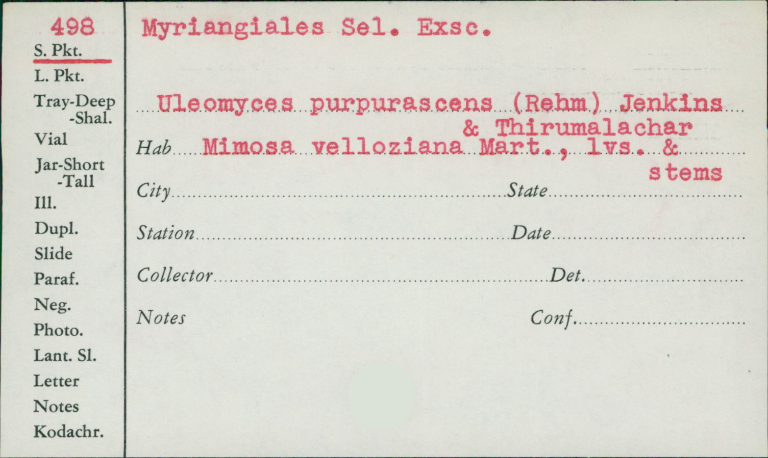 Uleomyces purpurascens image